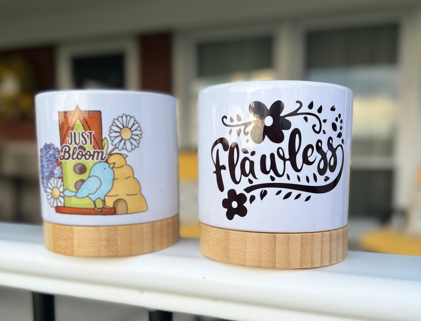 Ceramic Flowerpot Decor