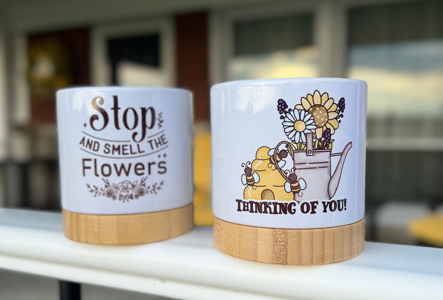 Ceramic Flowerpot Decor