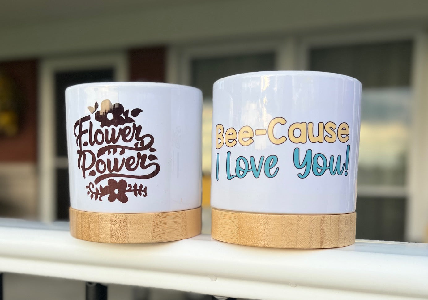 Ceramic Flowerpot Decor