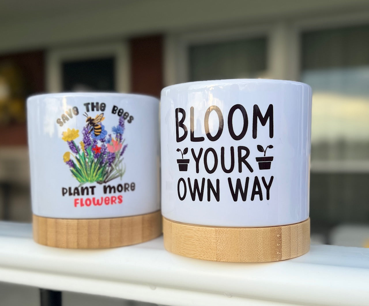 Ceramic Flowerpot Decor