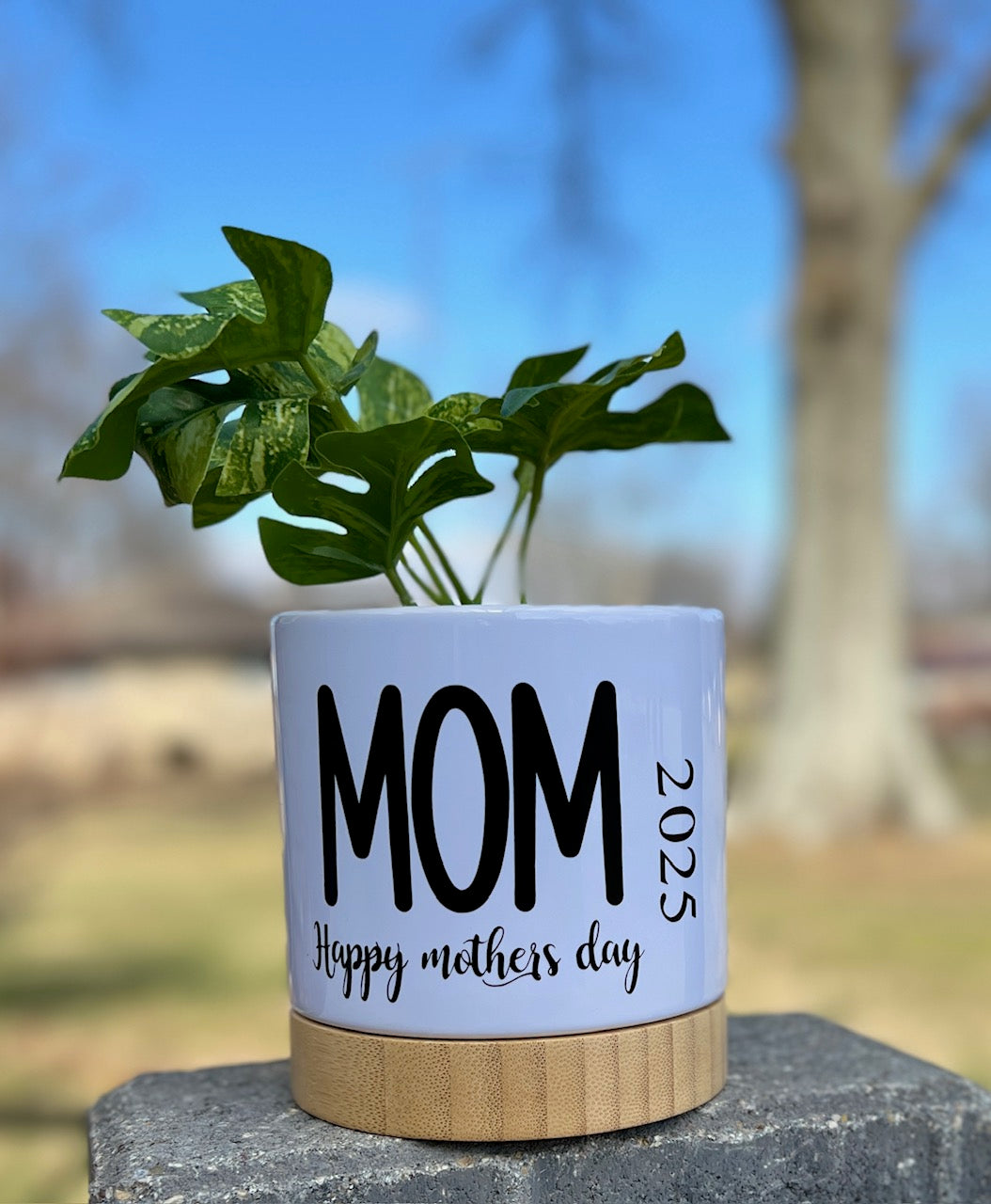 Ceramic Flowerpot Decor